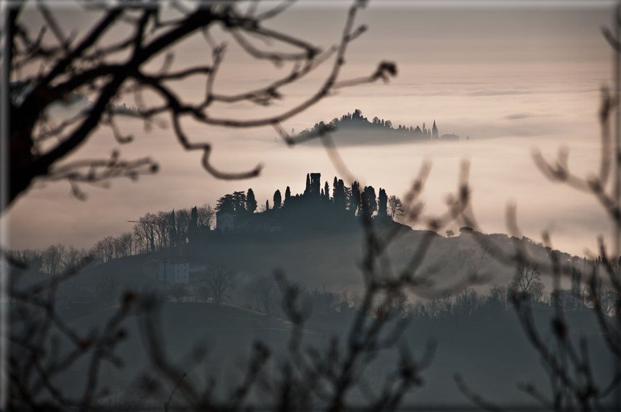 foto Colline di Romano d'Ezzelino nella Nebbia